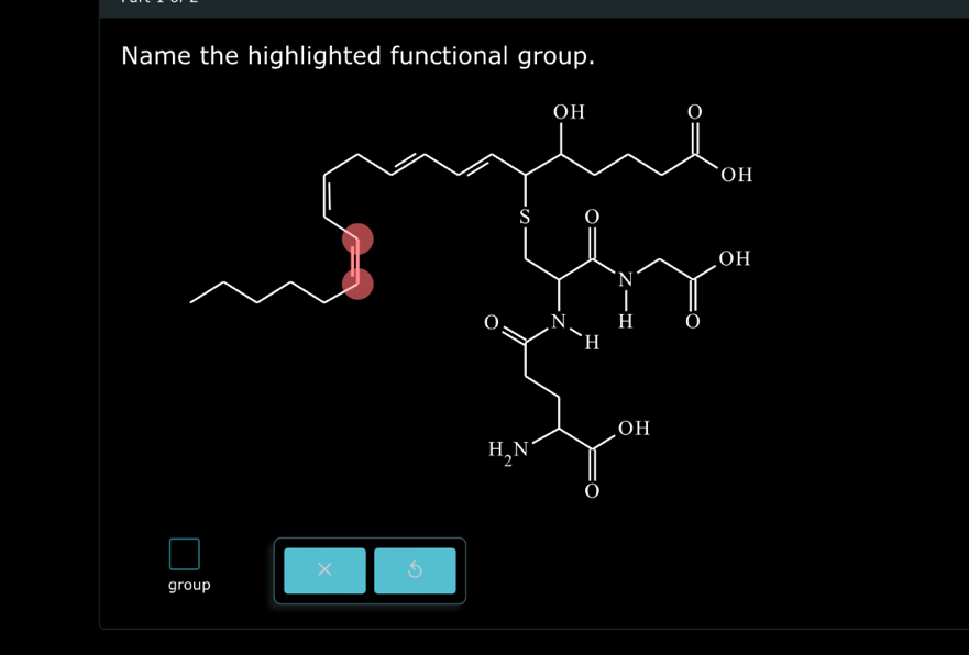 Name the highlighted functional group.
×
group