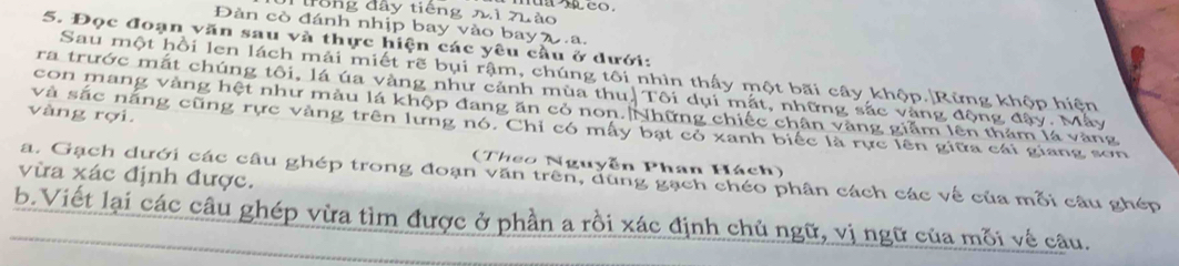 liổng đây tiếng nì nuào 
Đàn cò đánh nhịp bay vào bayλ.a. 
5. Đọc đoạn văn sau và thực hiện các yêu cầu ở dưới: 
Sau một hồi len lách mải miết rẽ bụi rậm, chúng tôi nhìn thấy một bãi cây khộp. Rừng khộp hiện 
ra trước mắt chúng tôi, lá úa vàng như cảnh mùa thu, Tôi dụi mắt, những sắc vàng động đậy. Máy 
con mang vàng hệt như màu lá khộp đang ăn cỏ non. Những chiếc chân vàng giảm lên thảm lá vàng 
vàng rợi. 
và sắc năng cũng rực vàng trên lưng nó. Chỉ có mây bạt có xanh biếc là rực lên giữa cái giang sơn 
(Theo Nguyễn Phan Hách) 
vừa xác định được. a. Gạch dưới các câu ghép trong đoạn văn trên, dùng gạch chéo phân cách các về của mỗi câu ghép 
b.Viết lại các câu ghép vừa tìm được ở phần a rồi xác định chủ ngữ, vị ngữ của mỗi về câu.