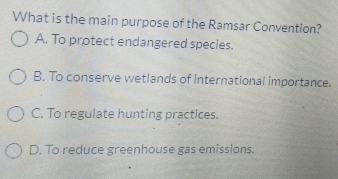 What is the main purpose of the Ramsar Convention?
A. To protect endangered species.
B. To conserve wetlands of international importance.
C. To regulate hunting practices.
D. To reduce greenhouse gas emissions.