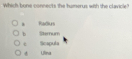 Which bone connects the humerus with the clavicle?
a Radius
b Sternum
c Scapula
d Ulna