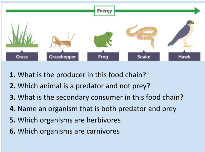 Solved: Energy Grass Grasshopper Frog Snake Hawk 1. What is the