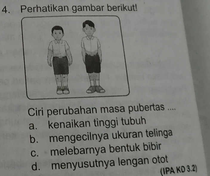 Perhatikan gambar berikut!
Ciri perubahan masa pubertas ....
a. kenaikan tinggi tubuh
b. mengecilnya ukuran telinga
c. melebarnya bentuk bibir
d. menyusutnya lengan otot
(IPA KD 3.2)