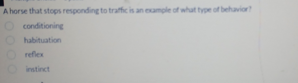 A horse that stops responding to traffic is an example of what type of behavior?
conditioning
habituation
reflex
instinct