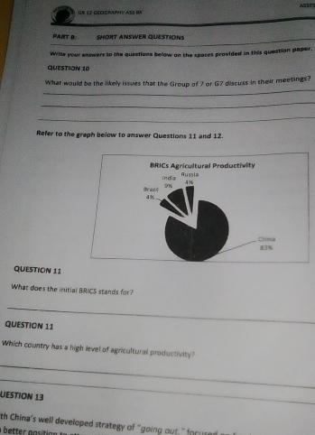 GR 12 GEOGRAPHY ASS Be ASSE! 
FART B: SHORT ANSWER QUESTIONS 
_ 
Write your enswers to the questions below on the spaces provided in this question paper, 
QUESTION 10 
_ 
What would be the likely issues that the Group of 7 or G7 discuss in their meetings? 
_ 
_ 
Refer to the graph below to answer Questions 11 and 12. 
QUESTION 11 
What does the mitial BRICS stands for 
_ 
QUESTION 11 
Which country has a high level of agricultural productivity? 
_ 
_ 
UESTION 13 
th China's well developed strategy of "going out, " for u 
hetter position