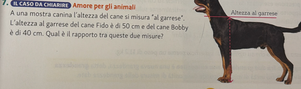 IL CASO DA CHIARIRE Amore per gli animali 
A una mostra canina l’altezza del cane si misura “al garrese”. 
L’altezza al garrese del cane Fido è di 50 cm e del cane Bobby 
è di 40 cm. Qual è il rapporto tra queste due misure?