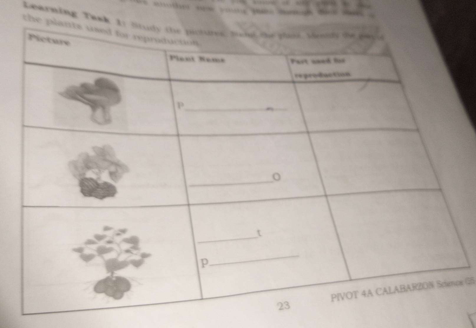 ===Oe 
Learning Ta 
e G5