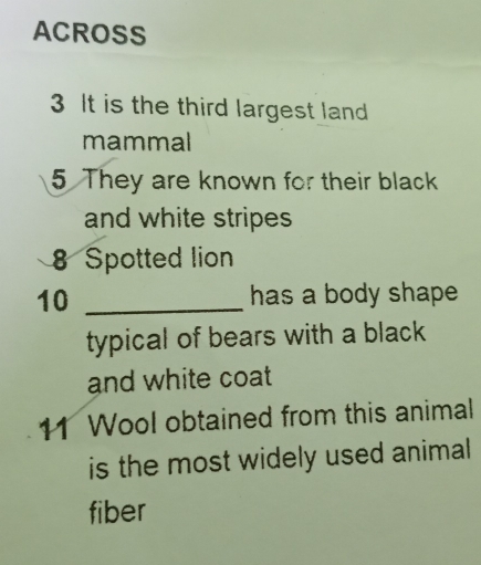 ACROSS 
3 It is the third largest land 
mammal 
5 They are known for their black 
and white stripes
8 Spotted lion
10 _has a body shape 
typical of bears with a black 
and white coat
11 Wool obtained from this animal 
is the most widely used animal 
fiber