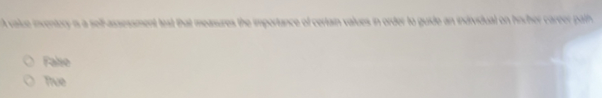 A value inventory is a self-assessment test that measures the importance of certain values in order to guide an individual on hinvher career path
Falso
True