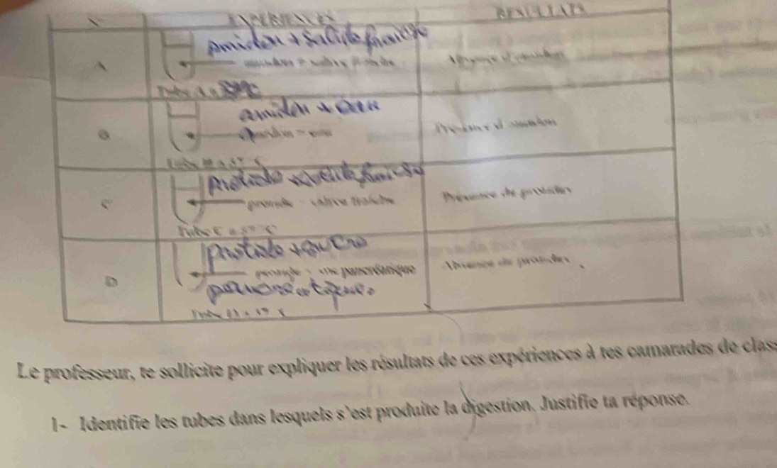 Le professeur, te sollicite pour expliquer lelass 
1 - Identifie les tubes dans lesquels s'est produite la digestion. Justifie ta réponse.