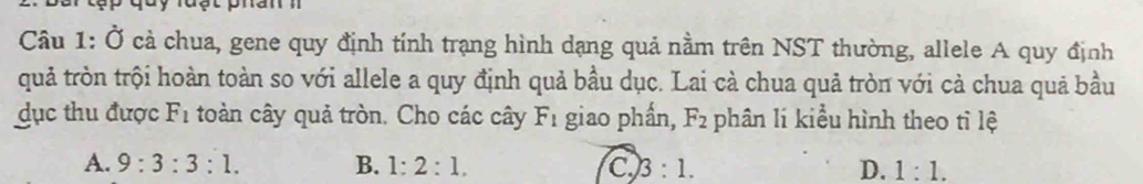 an
Câu 1: Ở cả chua, gene quy định tính trạng hình dạng quả nằm trên NST thường, allele A quy định
quả tròn trội hoàn toàn so với allele a quy định quả bầu dục. Lai cà chua quả tròn với cả chua quả bầu
dục thu được F_1 toàn cây quả tròn, Cho các cây F_1 giao phần, F_2 phân li kiểu hình theo tỉ lệ
A. 9:3:3:1. B. 1:2:1, c) 3:1. D. 1:1.