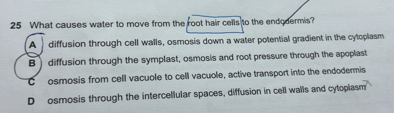 แก้ไขแล้ว:What causes water to move from the root hair cells to the ...