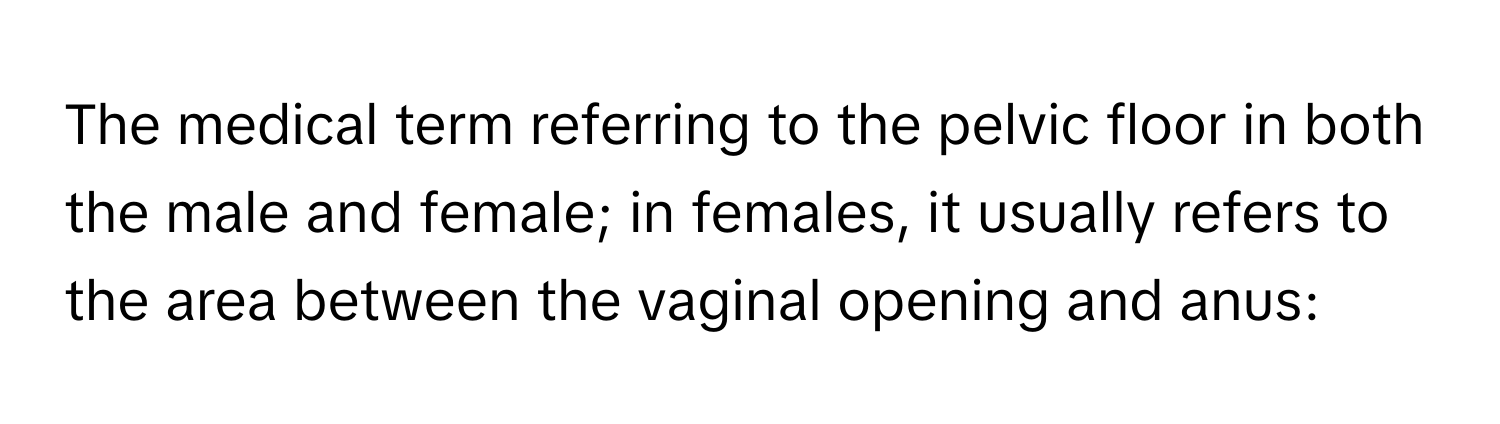 The medical term referring to the pelvic floor in both the male and female; in females, it usually refers to the area between the vaginal opening and anus: