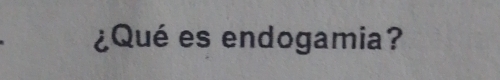 ¿Qué es endogamia?