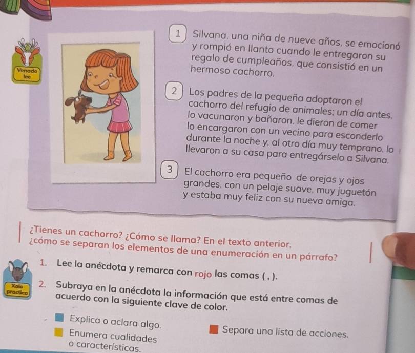 Silvana, una niña de nueve años, se emocionó 
y rompió en llanto cuando le entregaron su 
regalo de cumpleaños, que consistió en un 
Venado 
hermoso cachorro. 
lee 
2 Los padres de la pequeña adoptaron el 
cachorro del refugio de animales; un día antes, 
lo vacunaron y bañaron. le dieron de comer 
lo encargaron con un vecino para esconderlo 
durante la noche y, al otro día muy temprano. lo 
llevaron a su casa para entregárselo a Silvana. 
3 ] El cachorro era pequeño de orejas y ojos 
grandes, con un pelaje suave, muy juguetón 
y estaba muy feliz con su nueva amiga. 
¿Tienes un cachorro? ¿Cómo se llama? En el texto anterior, 
¿cómo se separan los elementos de una enumeración en un párrafo? 
1. Lee la anécdota y remarca con rojo las comas ( , ). 
Xolo 2. Subraya en la anécdota la información que está entre comas de 
practico acuerdo con la siguiente clave de color. 
Explica o aclara algo. Separa una lista de acciones. 
Enumera cualidades 
o características.