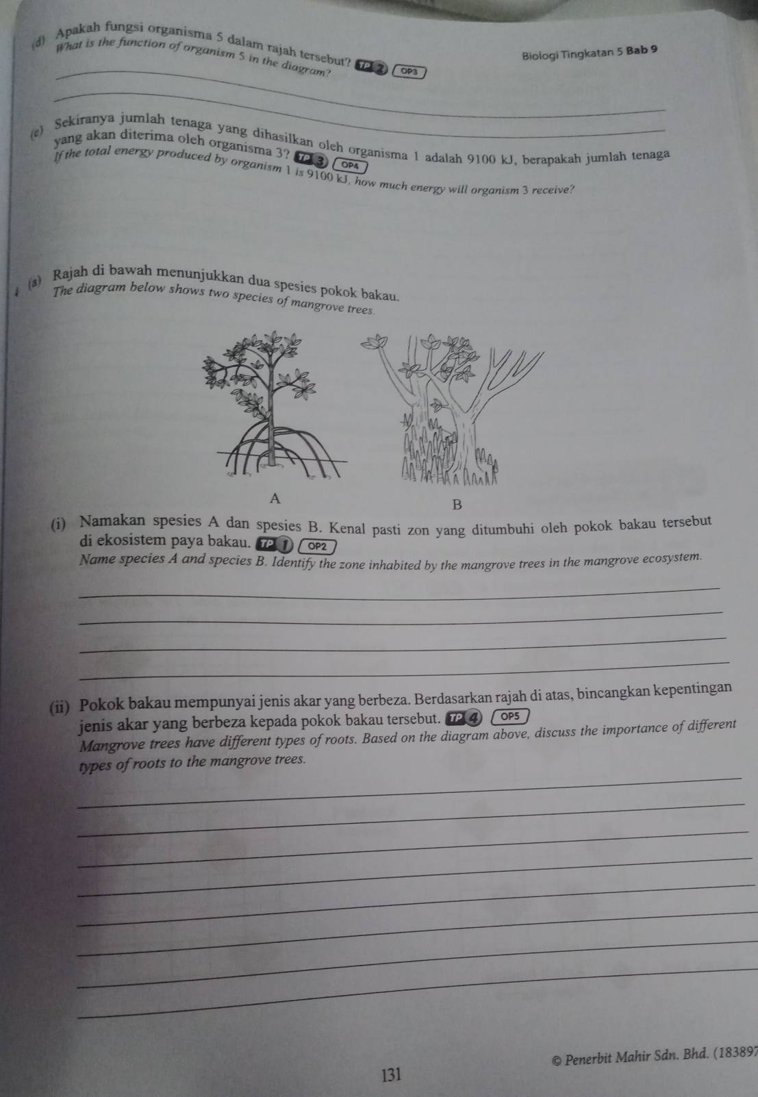 Apakah fungsi organisma 5 dalam rajah tersebut? ( ) OP3 
Biologi Tingkatan 5 Bab 9 
What is the function of organism 5 in the diagram? 
_ 
(e) Sekiranya jumlah tenaga yang dihasilkan oleh organisma 1 adalah 9100 kJ, berapakah jumlah tenaga 
yang akan diterima oleh organisma 3? 3) ( o 
If the total energy produced by organism 1 is 9100 kJ, how much energy will organism 3 receive? 
(a) Rajah di bawah menunjukkan dua spesies pokok bakau. 
The diagram below shows two species of mangrove trees 
A 
B 
(i) Namakan spesies A dan spesies B. Kenal pasti zon yang ditumbuhi oleh pokok bakau tersebut 
di ekosistem paya bakau. OP2 
Name species A and species B. Identify the zone inhabited by the mangrove trees in the mangrove ecosystem. 
_ 
_ 
_ 
_ 
(ii) Pokok bakau mempunyai jenis akar yang berbeza. Berdasarkan rajah di atas, bincangkan kepentingan 
jenis akar yang berbeza kepada pokok bakau tersebut. ④ (o 
Mangrove trees have different types of roots. Based on the diagram above, discuss the importance of different 
_ 
types of roots to the mangrove trees. 
_ 
_ 
_ 
_ 
_ 
_ 
_ 
131 © Penerbit Mahir Sdn. Bhd. (183897