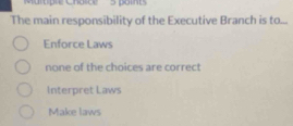 The main responsibility of the Executive Branch is to...
Enforce Laws
none of the choices are correct
Interpret Laws
Make laws