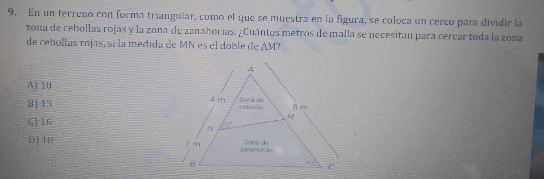 En un terreno con forma triangular, como el que se muestra en la figura, se coloca un cerco para dividir la
zona de cebollas rojas y la zona de zanahorias. ¿Cuántos metros de malla se necesitan para cercar toda la zona
de cebollas rojas, si la medida de MN es el doble de AM?
A) 10
B) 13
C) 16
D) 18