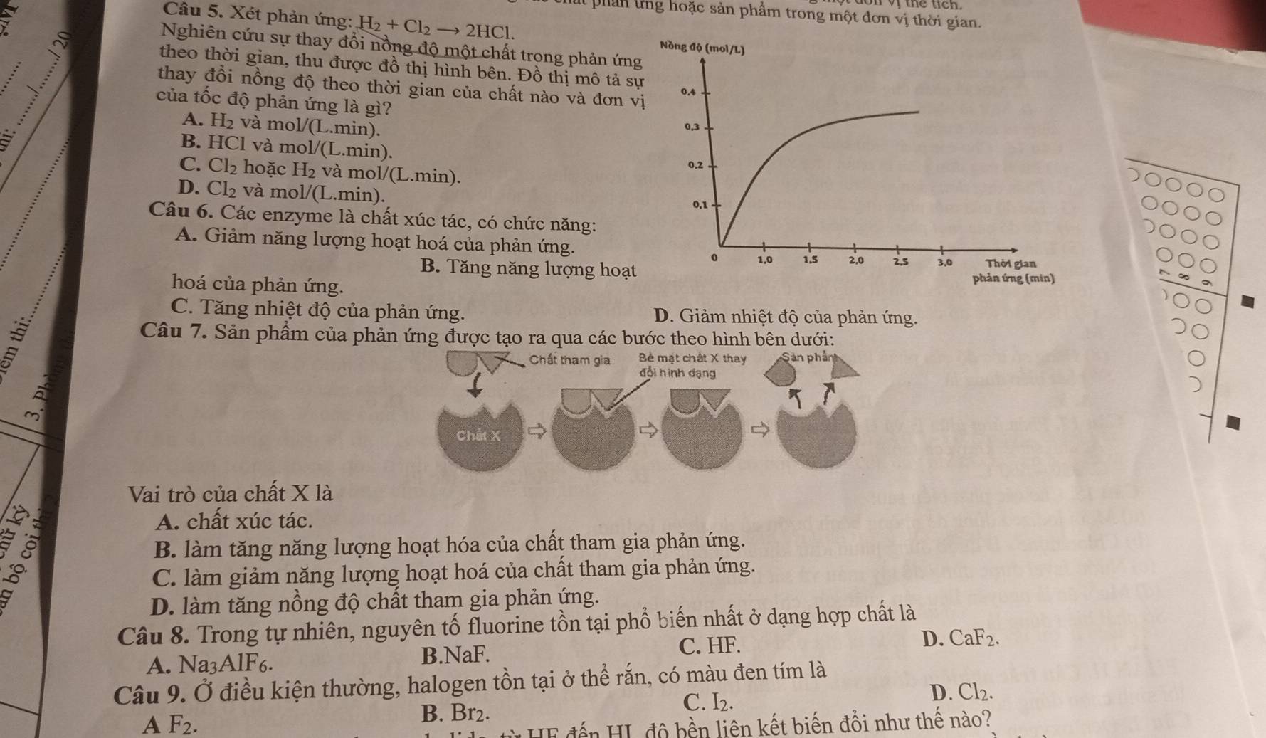 Xét phản ứng: H_2+Cl_2to 2HCl.
phan tng hoặc sản phẩm trong một đơn vị thời gian.
Nghiên cứu sự thay đổi nồng độ một chất trong phản ứng
theo thời gian, thu được đồ thị hình bên. Đồ thị mô tả s
thay đổi nồng độ theo thời gian của chất nào và đơn v
của tốc độ phản ứng là gì?
: và mol/(L.min).
A. H_2
a
B. HCl và mol/(L.min).
C. Cl_2 hoặc H_2 và mol/(L.min).
D. Cl_2 và mol/(L.min).
Câu 6. Các enzyme là chất xúc tác, có chức năng:
A. Giảm năng lượng hoạt hoá của phản ứng.
B. Tăng năng lượng hoạt
hoá của phản ứng.
C. Tăng nhiệt độ của phản ứng. D. Giảm nhiệt độ của phản ứng.

Câu 7. Sản phẩm của phản ứng được tạo ra qua các bước theo hình bên dưới:
Chất tham gia  Bê mặt chất X thay Sản phần
đội hình dạng
A
Chất X
Vai trò của chất X là
A. chất xúc tác.
B. làm tăng năng lượng hoạt hóa của chất tham gia phản ứng.
C. làm giảm năng lượng hoạt hoá của chất tham gia phản ứng.
D. làm tăng nông độ chất tham gia phản ứng.
Câu 8. Trong tự nhiên, nguyên tố fluorine tồn tại phổ biến nhất ở dạng hợp chất là
C. HF. D. CaF2.
A. Na3AlF6. B.NaF.
Câu 9. Ở điều kiện thường, halogen tồn tại ở thể rắn, có màu đen tím là
A F_2.
B. Br2.
C. I2.
D. Cl₂.
đển HL độ bền liên kết biến đổi như thế nào?