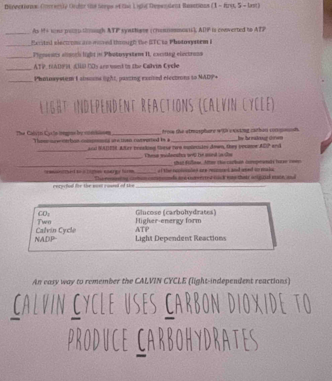 Directions Correnly Order the Serps af the Ligng Dependent Reactions (1 - first, 5 - last) 
_As H+ wns pulp though ATP synthuse (channosmosis), ADP is converted to ATP 
_Excited electrons are moved through the BTC to Photosystem I 
_Pigments alisore light in Phutosystem II exciting electrans 
_ATP, NADPH, AND COs are used in the Calvin Cycle 
_Photosystem I absurns light, paszing excited electrons to NADP+ 
L I G H T O pendent réactions (calvin cycle) 
The Calvin Cyto tregmoby comiimes _from the utmosphere with e xisting carhon componnds. 
These new oarbon compomes are then converted to a_ by breaking drsn 
_and NADIH. After breaking these two ontecules down, they become ADP and 
_Thme molecufts will be used in tis 
_ 
_ 
_that follow. After this carbun compoonds have been 
tcanstormed to a highm energy form. _of the repiecules are reaced and used oo make 
The remening cambun compounds are converred back om thair original state, and 
recycled for the nust round of the_ 
COz Glucose (carbohydrates) 
Two Higher-energy form 
Calvín Cycle ATP 
NADP- Light Dependent Reactions 
An easy way to remember the CALVIN CYCLE (light-independent reactions)