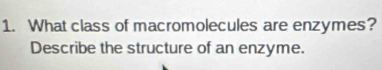 What class of macromolecules are enzymes? 
Describe the structure of an enzyme.