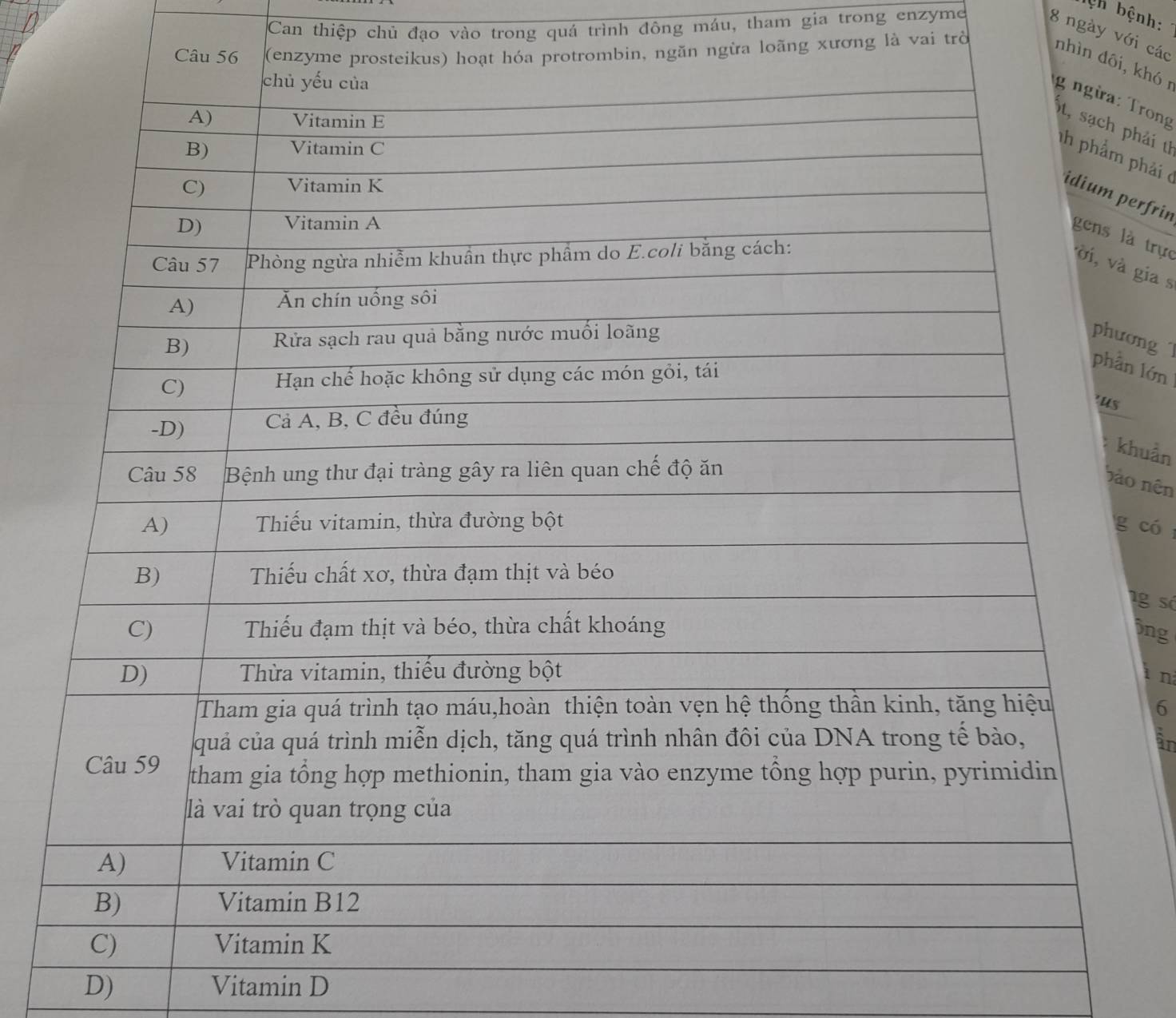 Can thiệp chủ đạo vào trong quá trình đông máu, tham gia trong enzyme 
ệh bệnh:
8 ngày với các 
n ngừa loãng xương là vai trờ 
nhì, khó r 
Trong 
phải th 
phải ở 
perfrin 
là trực 
gia s 
ơng 
n lớn 
huản 
o nên 
có 
g số 
ông 
i n
6
in 
D) Vitamin D