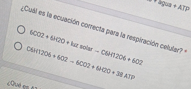 sigma +agua+ATP
¿Cuál es la ecuación correcta para la respiración celular? 1
6CO2+6H2O+luzsolarto C6H12O6+6O2
C6H12O6+6O2to 6CO2+6H2O+38ATP
¿Qué es 11