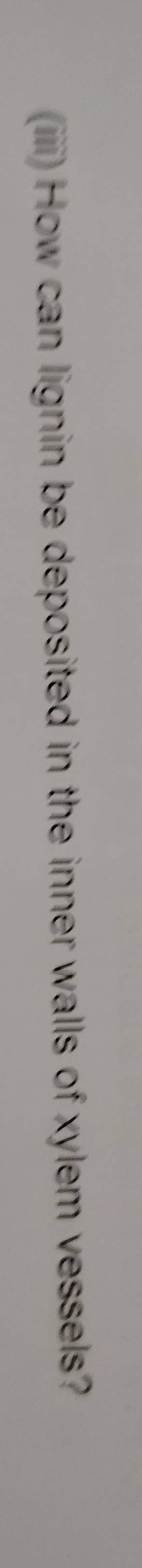 (iiii) How can lignin be deposited in the inner walls of xylem vessels?