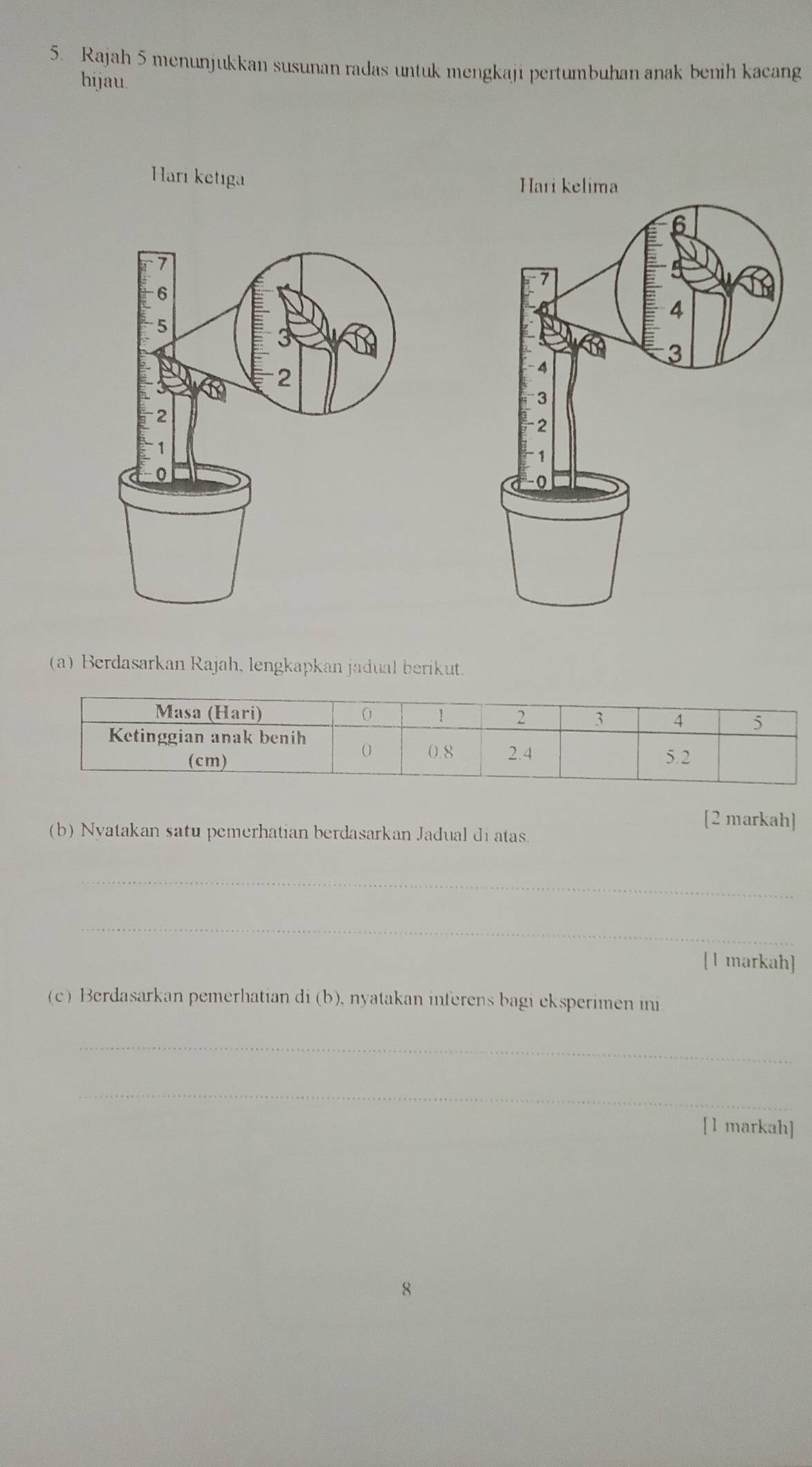 Rajah 5 menunjukkan susunan radas untuk mengkaji pertumbuhan anak benih kacang 
hijau. 
Hari ketıga 
(a) Berdasarkan Rajah, lengkapkan jadual berikut. 
[2 markah] 
(b) Nyatakan satu pemerhatian berdasarkan Jadual di atas. 
_ 
_ 
[ 1 markah] 
(c) Berdasarkan pemerhatian di (b), nyatakan inferens bagi eksperimen ini 
_ 
_ 
[1 markah] 
8