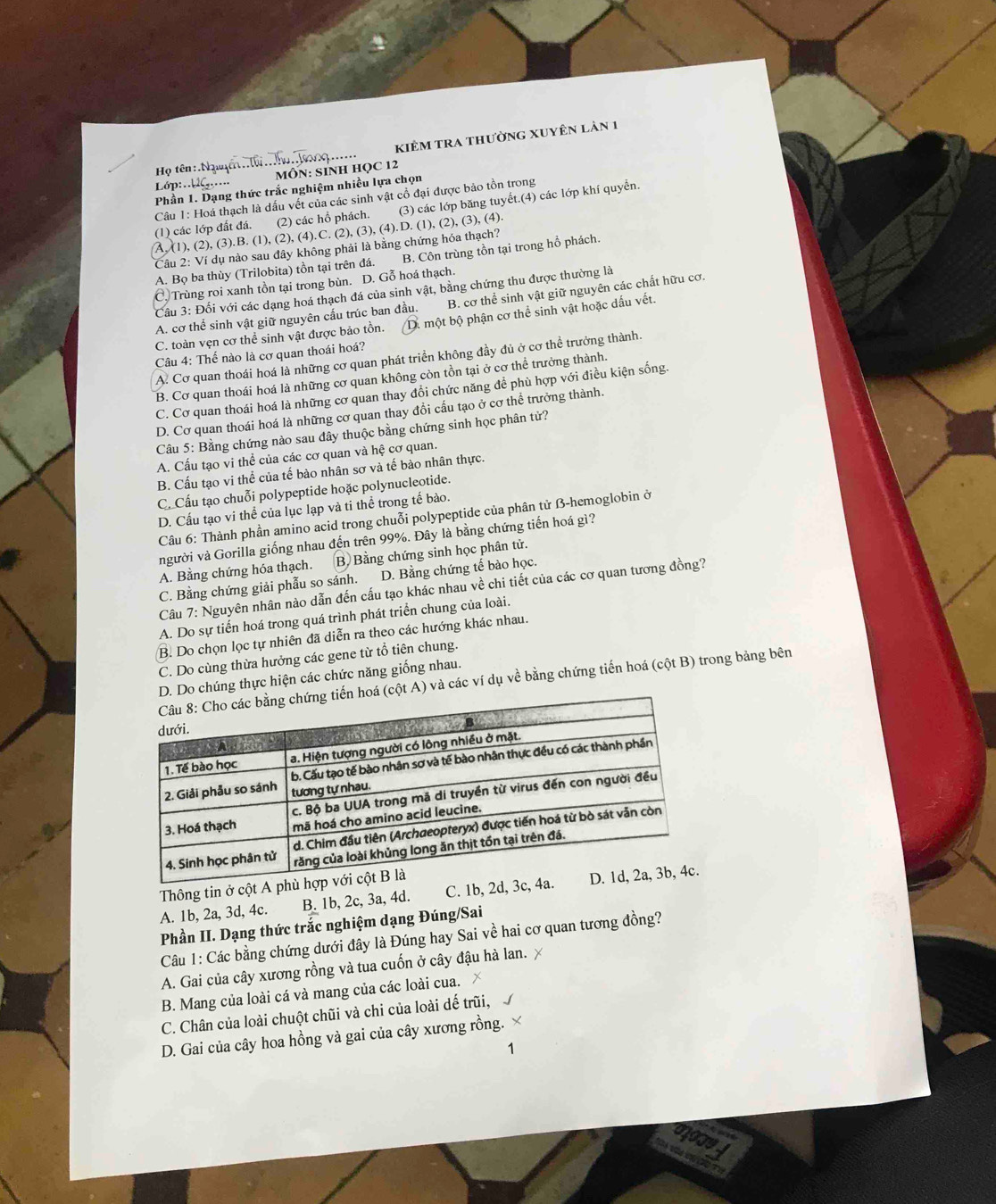 kiêm tra thường xuyên lản 1
Họ tên:  Ngê     
Lớp:. . . MÔN: SINH HỌC 12
Phần 1. Dạng thức trắc nghiệm nhiều lựa chọn
(2) các hồ phách. (3) các lớp băng tuyết.(4) các lớp khí quyển.
(1) các lớp đất đá.  Câu 1: Hoá thạch là dấu vết của các sinh vật cổ đại được bảo tồn trong
A. (1), (2), (3).B. (1), (2), (4).C. (2), (3), (4).D. (1), (2), (3), (4).
Câu 2: Ví dụ nào sau đây không phải là bằng chứng hóa thạch?
A. Bọ ba thùy (Trilobita) tồn tại trên đá. B. Côn trùng tồn tại trong hồ phách.
C. Trùng roi xanh tồn tại trong bùn. D. Gỗ hoá thạch.
Cầu 3: Đối với các dạng hoá thạch đá của sinh vật, bằng chứng thu được thường là
A. cơ thể sinh vật giữ nguyên cấu trúc ban đầu. B. cơ thể sinh vật giữ nguyên các chất hữu cơ.
C. toàn vẹn cơ thể sinh vật được bảo tồn. D. một bộ phận cơ thể sinh vật hoặc dấu vết.
Câu 4: Thế nào là cơ quan thoái hoá?
A. Cơ quan thoái hoá là những cơ quan phát triển không đầy đủ ở cơ thể trưởng thành.
B. Cơ quan thoái hoá là những cơ quan không còn tồn tại ở cơ thể trưởng thành.
C. Cơ quan thoái hoá là những cơ quan thay đổi chức năng để phù hợp với điều kiện sống.
D. Cơ quan thoái hoá là những cơ quan thay đồi cấu tạo ở cơ thể trưởng thành.
Câu 5: Bằng chứng nào sau đây thuộc bằng chứng sinh học phân tử?
A. Cấu tạo vi thể của các cơ quan và hệ cơ quan.
B. Cấu tạo vi thể của tế bào nhân sơ và tế bào nhân thực.
C. Cấu tạo chuỗi polypeptide hoặc polynucleotide.
D. Cấu tạo vi thể của lục lạp và ti thể trong tế bào.
Câu 6: Thành phần amino acid trong chuỗi polypeptide của phân tử B-hemoglobin ở
người và Gorilla giống nhau đến trên 99%. Đây là bằng chứng tiến hoá gì?
A. Bằng chứng hóa thạch. B. Bằng chứng sinh học phân tử.
C. Bằng chứng giải phẫu so sánh. D. Bằng chứng tế bào học.
Câu 7: Nguyên nhân nào dẫn đến cấu tạo khác nhau về chi tiết của các cơ quan tương đồng?
A. Do sự tiến hoá trong quá trình phát triển chung của loài.
B. Do chọn lọc tự nhiên đã diễn ra theo các hướng khác nhau.
C. Do cùng thừa hưởng các gene từ tổ tiên chung.
D. Do chúng thực hiện các chức năng giống nhau.
á (cột A) và các ví dụ về bằng chứng tiến hoá (cột B) trong bảng bên
Thông tin ở cột A ph
A. 1b, 2a, 3d, 4c. B. 1b, 2c, 3a, 4d. C. 1b, 2d, 3
Phần II. Dạng thức trắc nghiệm dạng Đúng/Sai
Câu 1: Các bằng chứng dưới đây là Đúng hay Sai về hai cơ quan tương đồng?
A. Gai của cây xương rồng và tua cuốn ở cây đậu hà lan. 
B. Mang của loài cá và mang của các loài cua.
C. Chân của loài chuột chũi và chi của loài dế trũi,
D. Gai của cây hoa hồng và gai của cây xương rồng.
1
MOT9A