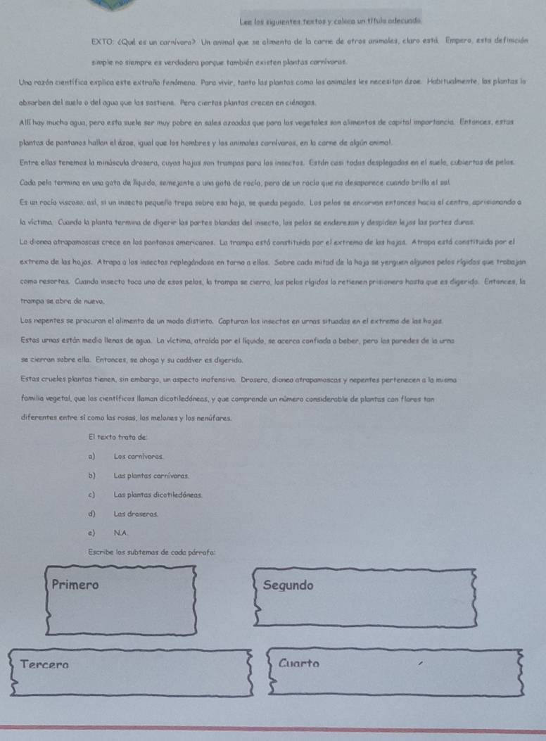 Lee los siguientes textos y coleca un tífuls adecuado
EXTO: ¿Qué es un carnívora» Un animal que se alimenta de la carne de atros animales, claro está. Empero, esta definición
simple no siempre es verdadera porque también existen plantas cornivoras.
Una razón científica explica este extraño fenómena. Para vivir, tanto las plantas como los animales les necesitan ázoe. Habitualmente, las plantas la
absorben del suelo o del agua que las sastiens. Pero ciertas plantas crecen en ciénagas.
Allí hay mucho agua, pero esta suele ser muy pobre en sales azoados que para los vegetales son alimentos de copital importancia. Entances, estas
plantas de pantanos hallan el ázoe, igual que los hambres y los animales carnívaros, en la carne de algún animal.
Entre ellas tenemos la minúscula drosera, cuyas hajas son trampas para los insectos. Estón casi todas desplegados en el suelo, cubiertos de pelos.
Cada pelo termuna en una gota de liquido, semejante a una goto de rocío, pero de un rocio que na desaporece cuando brilla el sal
Es un rocío viscoso, así, si un insecto pequello trepa sobro esa hoja, se queda pegado. Los pelos se encorvan entances hacia el centro, aprisionando a
la víctima. Cuando la planta termina de digerir las portes blandas del insecto, las pelos se enderezan y despiden lejos las portes duras.
La dionea atrapamoscas crece en los pantonos americanos. La trampa está constituida por el extremo de las hajas. Atropa está constituida por el
extremo de las hojos. Atrapa a los insectos replegándose en tarna a ellos. Sobre cada mitad de la hoja se yerguen algunos pelos rígidos que trobajan
como resortes. Cuanda insecto toca uno de esos pelos, la trompa se cierro, los pelos rígidos la retienen prisionero hasta que es digerido. Entónces, la
trampa se abre de nuevo.
Los nepentes se procuran el alimento de un moda distínto. Capturan las insectos en urras situadas en el extrema de las hojas
Estas urnas están media llenas de agua. La víctima, atraída por el líquido, se acerca confiada a beber, pero las paredes de la urna
se cierran sobre ella. Entances, se ahoga y su cadáver es digerido.
Estas crueles plantas tienen, sin embargo, un aspecto inofensiva. Drosera, dionea atrapamoscas y nepentes pertenecen a la misma
familia vegetal, que los científicos llaman dicotiledóneas, y que comprende un número considerable de plantas con flores tan
diferentes entre sí como las rosas, los melones y los nenúfares.
El texto trato de:
a) Los carnivaros.
b) Las plantas carnívoras.
c)Las plantas dicotiledóneas
d) Las draseras
e) N.A.
Escribe los subtemas de coda párrafa:
Primero Segundo
Tercero Cuarto