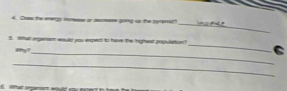 Does the energy morase or decease going up the pyrmd? 
5. What orgamsm woulld you exped to have the highest populttion? 
g _ 
_ 
_ 
6. What prpanism would you exed t hav