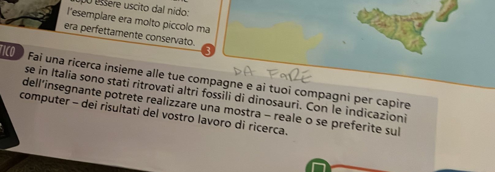 po essere uscito dal nido: 
l’esemplare era molto piccolo ma 
era perfettamente conservato. 
3 
1CO ) Fai una ricerca insieme alle tue compagne e ai tuoi compagni per capire 
se in Italia sono stati ritrovati altri fossili di dinosauri. Con le indicazioni 
dell’insegnante potrete realizzare una mostra - reale o se preferite sul 
computer - dei risultati del vostro lavoro di ricerca.