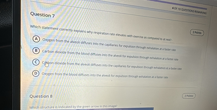 OF 1D QUESTIONS REMAINING
Question 7
2 Polnts
Which statement correctly explains why respiration rate elevates with exercise as compared to at rest?
A Oxygen from the alveoli diffuses into the capillaries for expulsion through exhalation at a faster rate
B ) Carbon dioxide from the blood diffuses into the alveoli for expulsion through exhalation at a faster rate
C Carbon dioxide from the alveoli diffuses into the capillaries for expulsion through exhalation at a faster rate
D ). Oxygen from the blood diffuses into the alveoli for expulsion through exhalation at a faster rate
Question 8 2 Points
Which structure is indicated by the green arrow in this image?