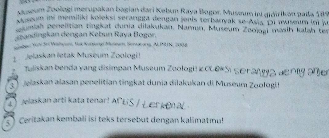 Museum Zoologi merupakan bagian dari Kebun Raya Bogor. Museum ini didiríkan pada 189
Museum ini memiliki koleksi serangga dengan jenis terbanyak se-Asia. Di museum ini ju 
sejumiah penelitian tingkat dunia dilakukan. Namun, Museum Zoologi masih kalah ter 
dibandingkan dengan Kebun Raya Bogor, 
Sumbeu: Yuni Sri Wahyuni, Yuk Kunjungi Museum, Semarang, ALPRIN, 2008 
1. Jelaskan letak Museum Zoologi! 
Tuliskan benda yang disimpan Museum Zoologi! KocokSi Seranga aenny anjer 
3) Jelaskan alasan penelitian tingkat dunia dilakukan di Museum Zoologi! 
4 Jelaskan arti kata tenar! 
5 Ceritakan kembali isi teks tersebut dengan kalimatmu!