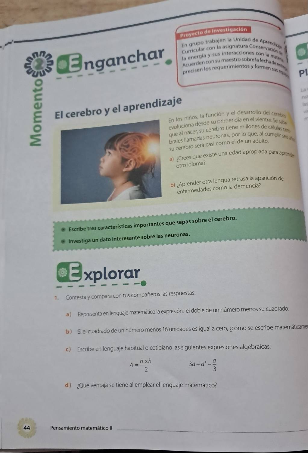 Proyecto de investigación 
En grupo trabajen la Unidad de Aprendiza 
Curricular con la asignatura Conservación d 
* nganchar la energía y sus interacciones con la mars 
Acuerden con su maestro sobre la fecha de eo 
。 
precisen los requerimientos y formen su m Pl 
El cerebro y el aprendizaje 
nd 
la! 
En los niños, la función y el desarrollo del cerebro 
evoluciona desde su primer día en el vientre. Se sae a 
que al nacer, su cerebro tiene millones de céluas c 
brales llamadas neuronas, por lo que, al cumplr se 
su cerebro será casi como el de un adulto. 
a) Crees que existe una edad apropiada para apred 
otro idioma? 
b) ¿Aprender otra lengua retrasa la aparición de 
enfermedades como la demencia? 
Escribe tres características importantes que sepas sobre el cerebro. 
Investiga un dato interesante sobre las neuronas. 
€xplorar 
1. Contesta y compara con tus compañeros las respuestas. 
a ) Representa en lenguaje matemático la expresión: el doble de un número menos su cuadrado. 
b ) Si el cuadrado de un número menos 16 unidades es igual a cero, ¿cómo se escribe matemáticames 
c) Escribe en lenguaje habitual o cotidiano las siguientes expresiones algebraicas:
A= (b* h)/2 
3a+a^3- a/3 
d ) ¿Qué ventaja se tiene al emplear el lenguaje matemático? 
44 Pensamiento matemático II_