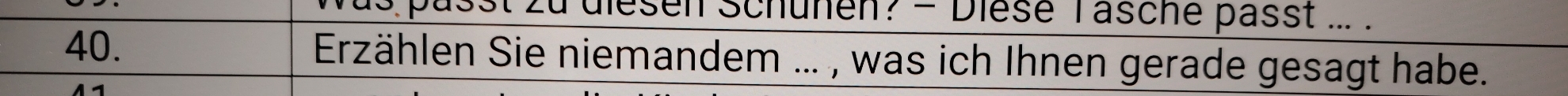 zu diesen Schünen? - Diesé Tasche passt ... . 
40. Erzählen Sie niemandem ... , was ich Ihnen gerade gesagt habe.