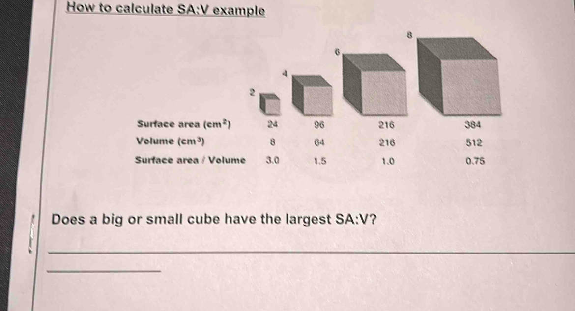 How to calculate SA:V example 
2 
Surface area (cm^2) 24 96
Volume (cm^3) 8 64 216 512
Surface area / Volume 3.0 1.5 1.0 0.75
Does a big or small cube have the largest SA:V ? 
_ 
_