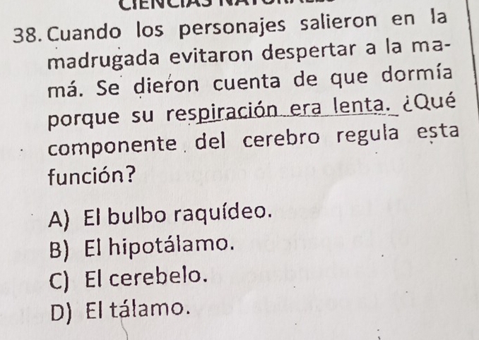 CIENC
38. Cuando los personajes salieron en la
madrugada evitaron despertar a la ma-
má. Se dieron cuenta de que dormía
porque su respiración era lenta. ¿Qué
componente del cerebro regula esta
función?
A) El bulbo raquídeo.
B) El hipotálamo.
C) El cerebelo.
D) El tálamo.