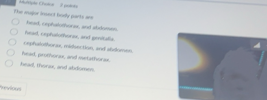 Solved: The major insect body parts are head, cephalothorax, and ...