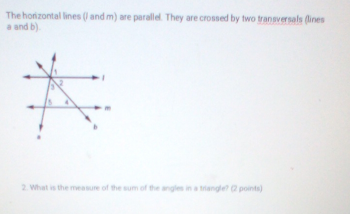 The horizontal lines (/ and m) are parallel. They are crossed by two transversals (lines
a and b). 
2. What is the measure of the sum of the angles in a triangle? (2 points)