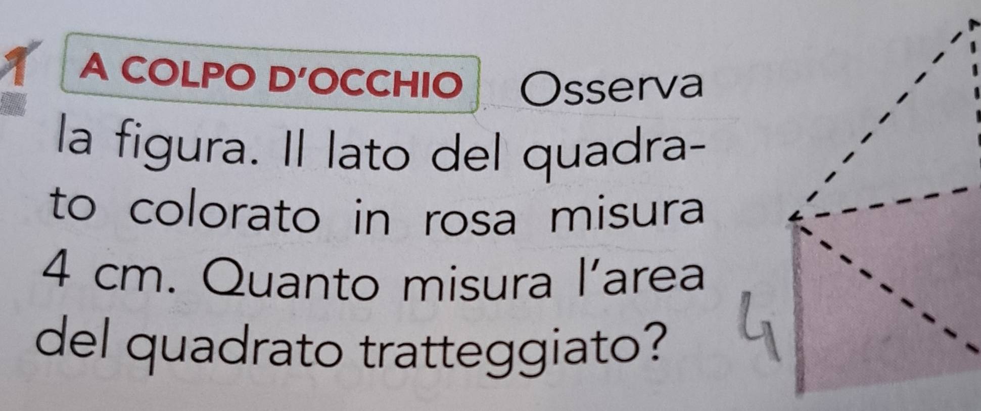 A COLPO D'OCCHIO Osserva 
la figura. Il lato del quadra- 
to colorato in rosa misura
4 cm. Quanto misura l’area 
del quadrato tratteggiato?