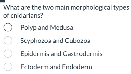 What are the two main morphological types
of cnidarians?
Polyp and Medusa
Scyphozoa and Cubozoa
Epidermis and Gastrodermis
Ectoderm and Endoderm