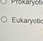 Prokaryoti 
Eukaryotic