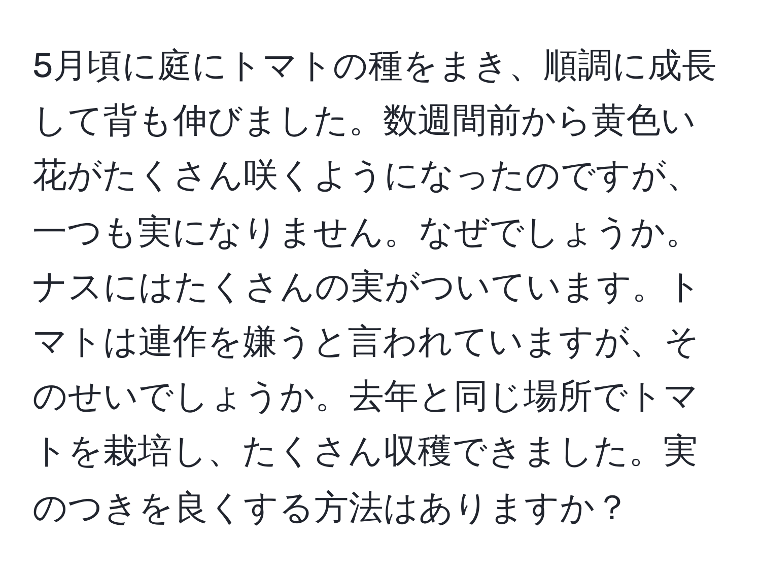 5月頃に庭にトマトの種をまき、順調に成長して背も伸びました。数週間前から黄色い花がたくさん咲くようになったのですが、一つも実になりません。なぜでしょうか。ナスにはたくさんの実がついています。トマトは連作を嫌うと言われていますが、そのせいでしょうか。去年と同じ場所でトマトを栽培し、たくさん収穫できました。実のつきを良くする方法はありますか？