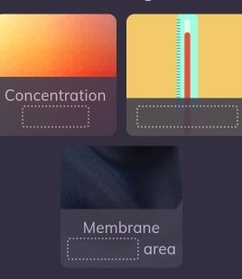 Concentration 
: 
Membrane 
... area