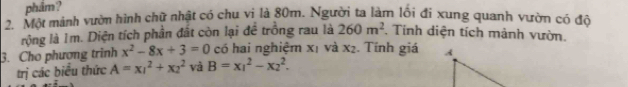 phâm? 
2. Một mảnh vườn hình chữ nhật có chu vị là 80m. Người ta làm lối đi xung quanh vườn có độ 
rộng là Im. Diện tích phần đất còn lại đề trồng rau là 260m^2 Tính diện tích mảnh vườn. 
3. Cho phương trình x^2-8x+3=0 có hai nghiệm xī và x_2. Tính giá 
trị các biểu thức A=x_1^2+x_2^2 và B=x_1^2-x_2^2.