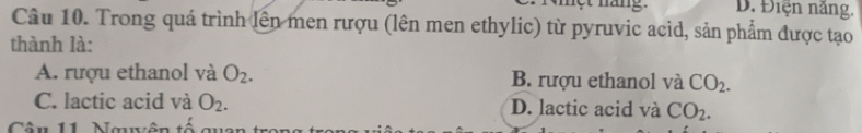 et mang D. Điện năng.
Câu 10. Trong quá trình lên men rượu (lên men ethylic) từ pyruvic acid, sản phẩm được tạo
thành là:
A. rượu ethanol và O_2. B. rượu ethanol và CO_2.
C. lactic acid và O_2. D. lactic acid và CO_2. 
Câu 11 Nguuận tố