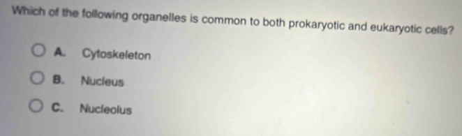 Which of the following organelles is common to both prokaryotic and eukaryotic cells?
A. Cytoskeleton
B. Nucieus
C. Nucleolus