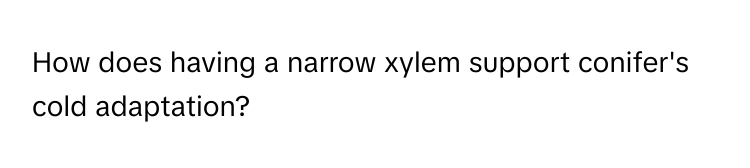 How does having a narrow xylem support conifer's cold adaptation?