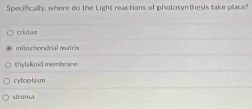 Specifically, where do the Light reactions of photosynthesis take place?
cristae
mitochondrial matrix
thylakoid membrane
cytoplasm
stroma